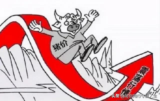 猪价飞天,飞天生肖猪价格最新行情