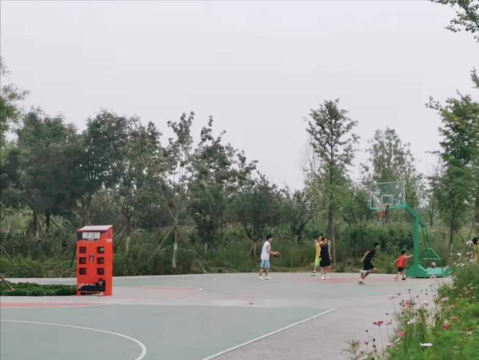 北京跑步公园排行榜,北京适合跑半马的公园