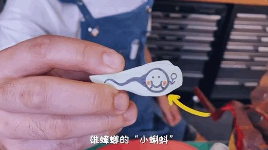 如何灭绝室内蟑螂虫卵,消除老房子蟑螂的方法