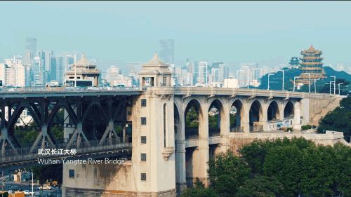 18岁来深圳的感受,一个人来武汉的感受