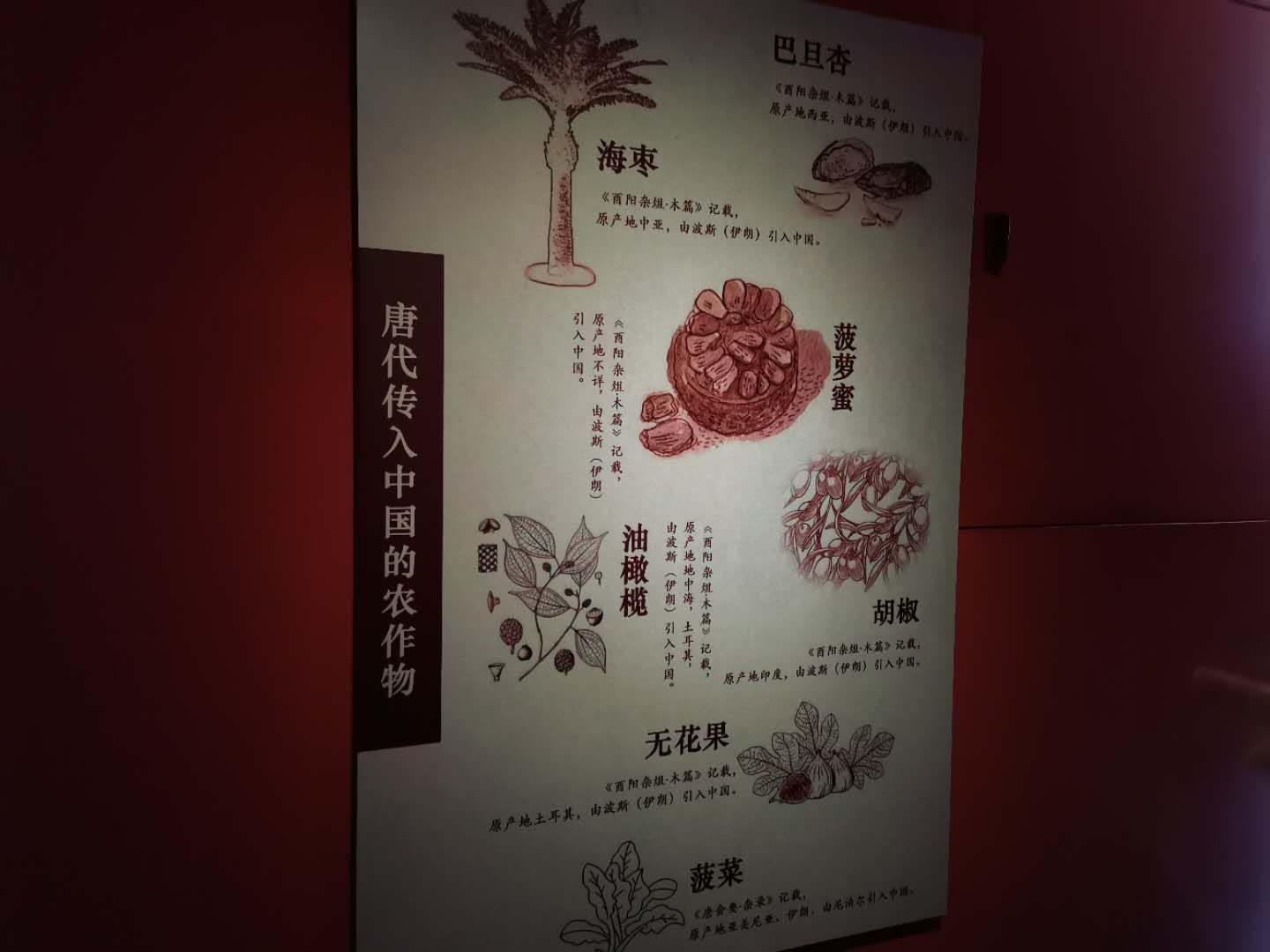 呼和浩特昭君博物院：中外驰名西汉古墓――昭君墓