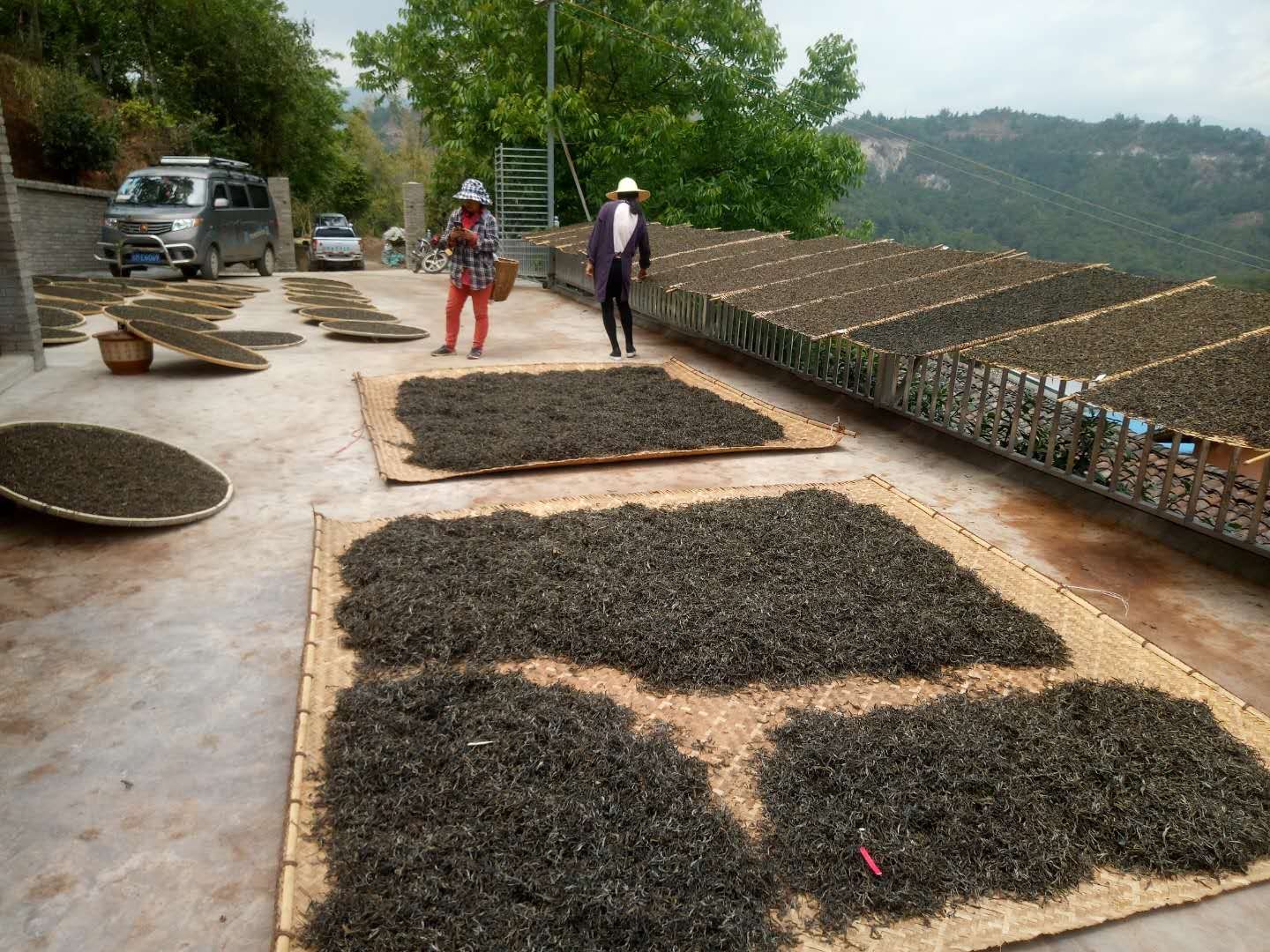 昌宁产业扶贫取得新效果,昌宁县农业脱贫项目