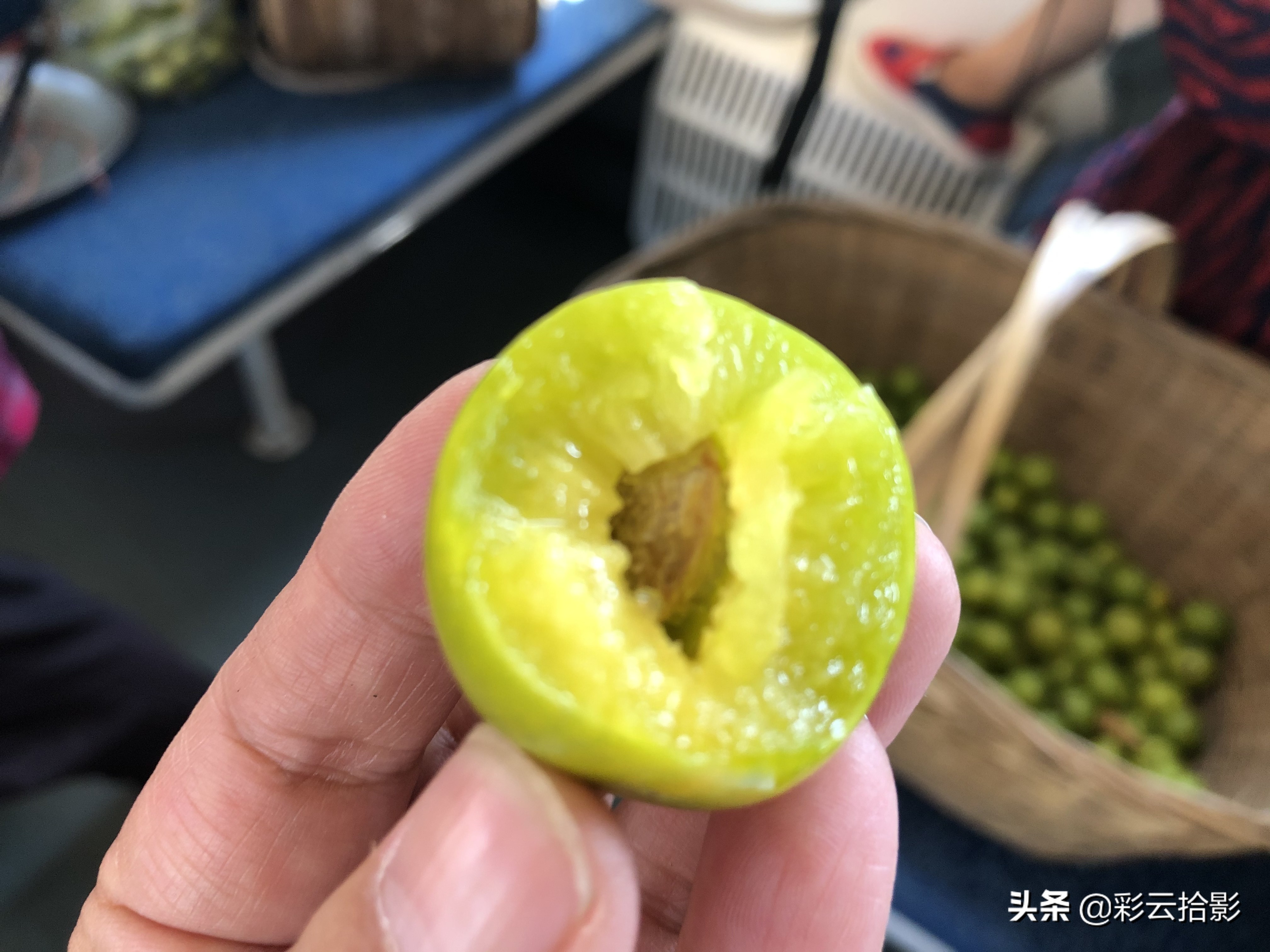 坐秦岭小慢车在哪下车,从宝鸡自驾去广元