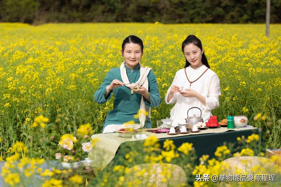 江西婺源油菜花音乐节,婺源油菜花文化节