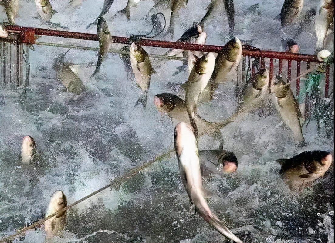 全国亿元村排名第一,全国亿元村名单