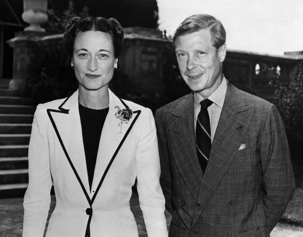 动物珠宝,精美动物珠宝