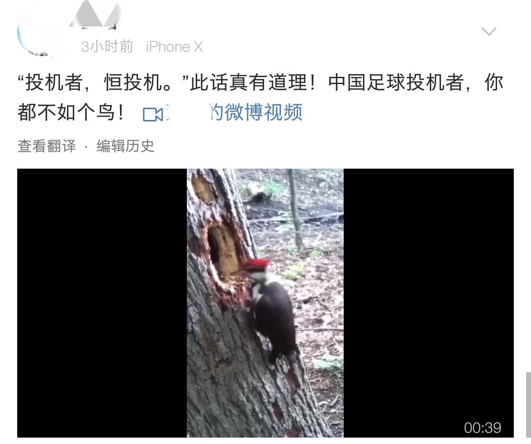 耻辱惨败,u19国青2-0韩国全场视频