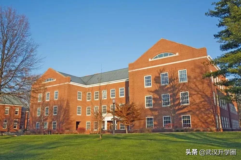 武汉十大省示范小学,武汉小学排名100强