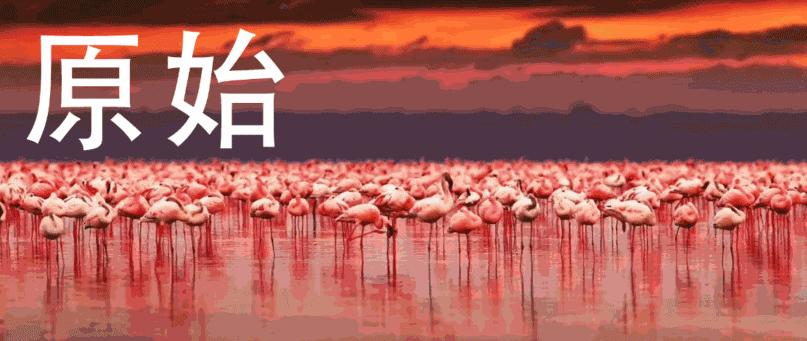 非洲科普｜黑人为何在体育领域如此优秀？