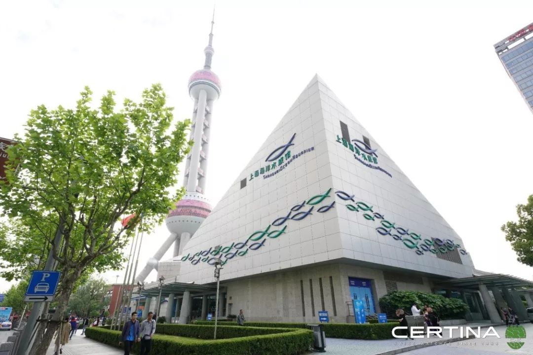 性价比高的石英潜水表,500米防水潜水表推荐