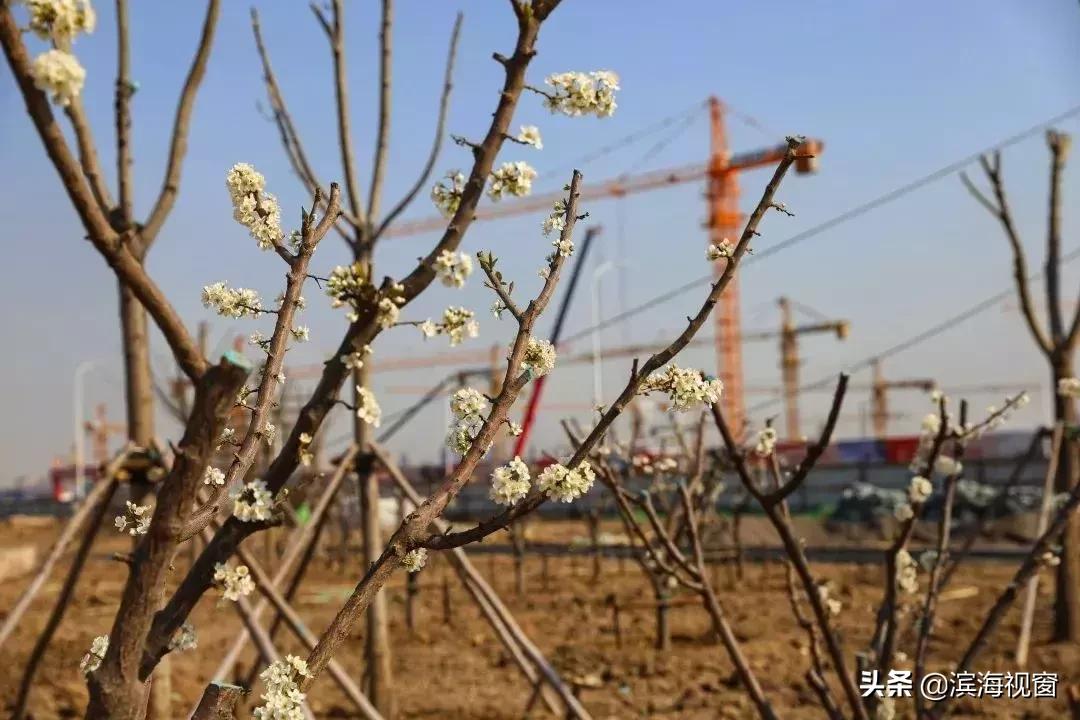 天津今明两年新开通哪些地铁线路,天津新建地铁最新消息