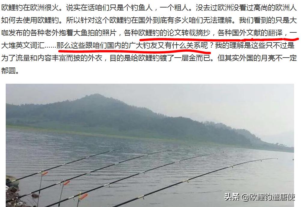 欧鲤钓适合中国吗,欧鲤钓入门
