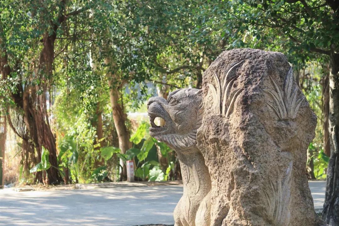 在动物园漫步才是正经事|暴走福州