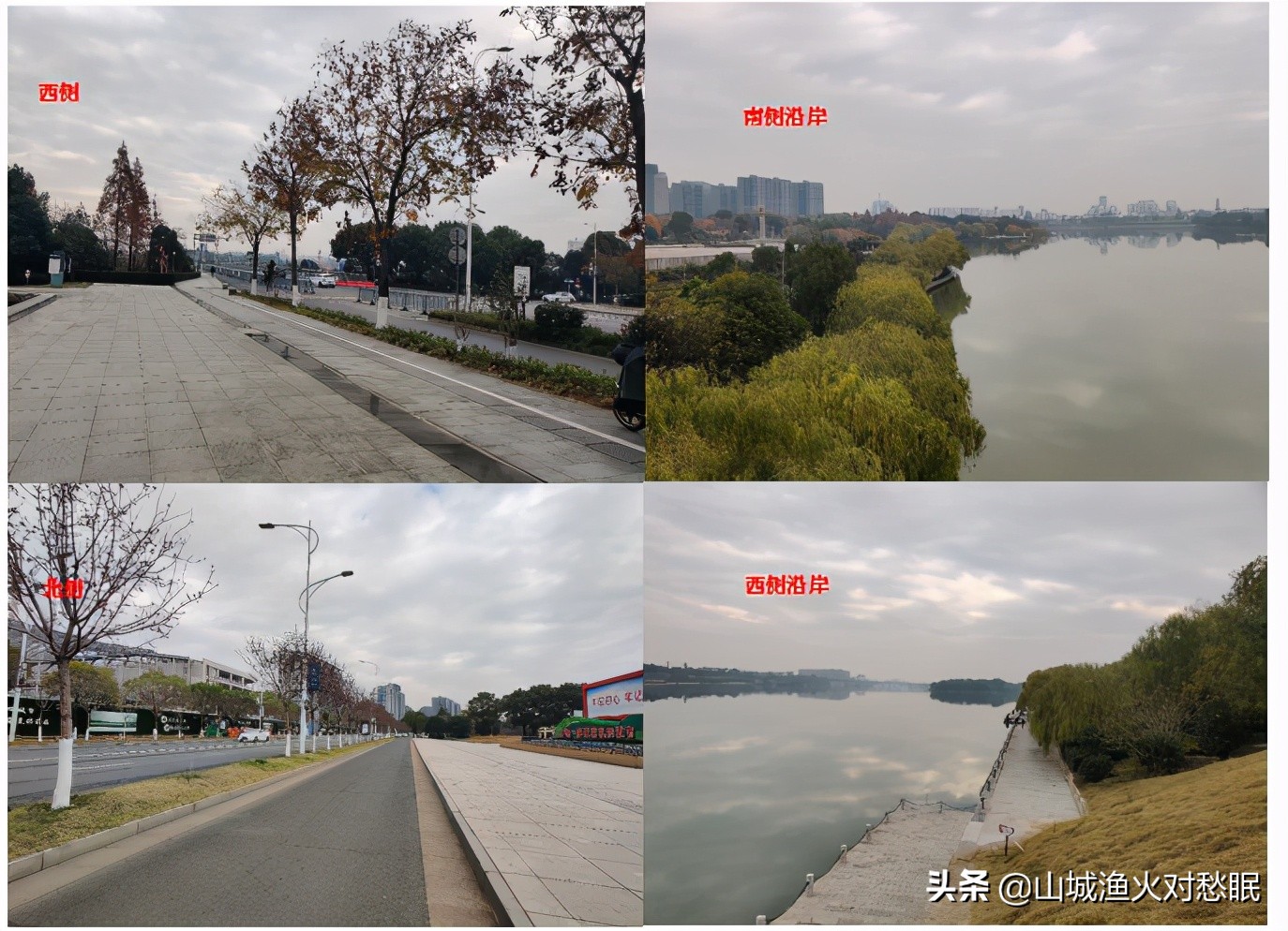 衢州市民广场改造提升,衢州市民公园改造