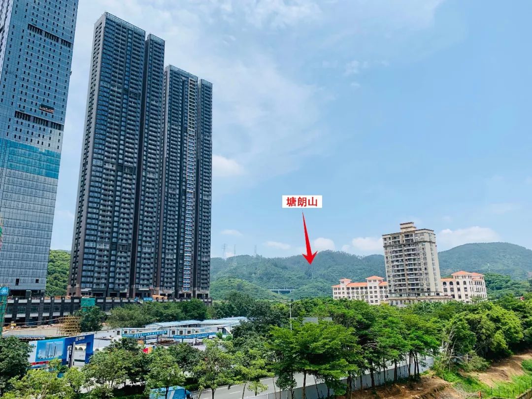 太劲爆！半4、海2后，南山又有豪宅要入市，住宅只有300多套