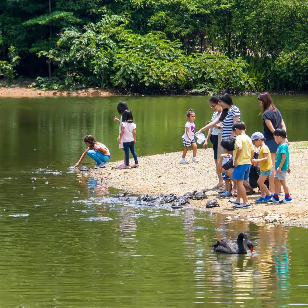 新加坡国家发展理念,新加坡国家愿景