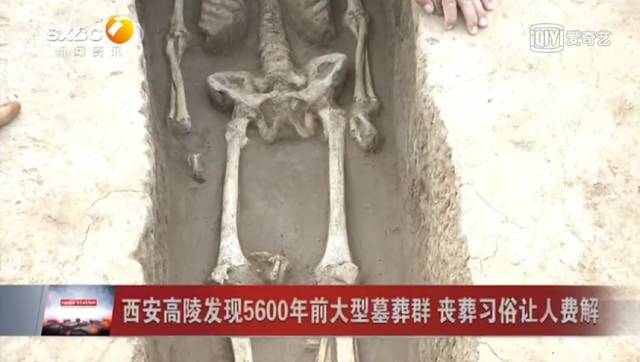 剁手之前血泪史,剁手清单极简实用派