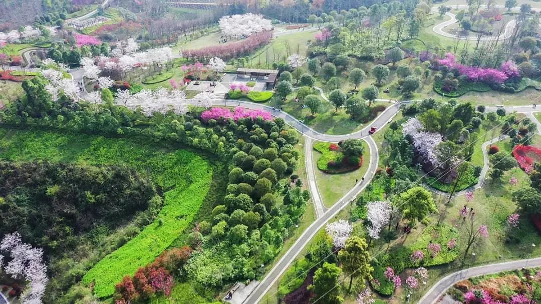 花语墅视野看双龙生态公园,花语墅贵阳南明区