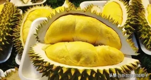 新加坡的好的品牌有哪些,新加坡小众品牌有哪些