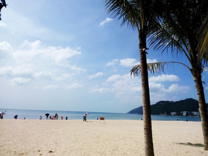 去热带的岛屿游泳,去热带旅行