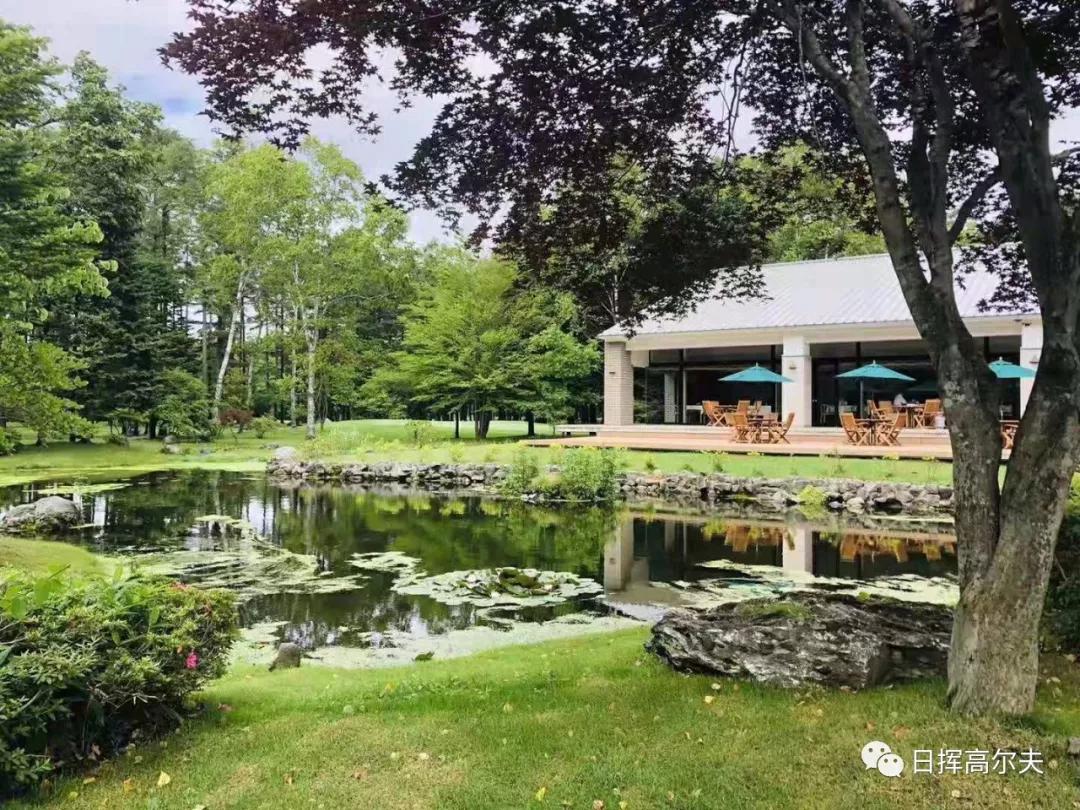 高尔夫球基本知识,高尔夫球的知识