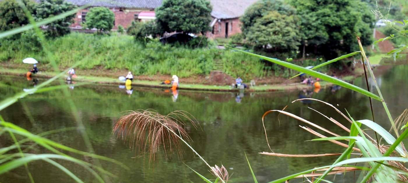 浮漂信号明显但是提竿不中鱼,浮漂没动作提竿却锚到了