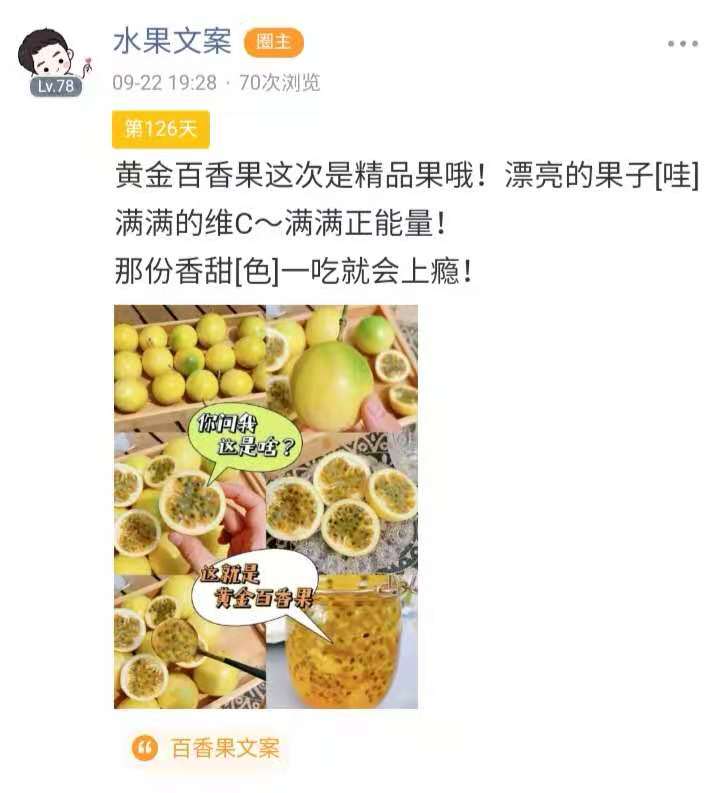 适合水果店的促销热门文案,怎么写自己经营一家水果店文案