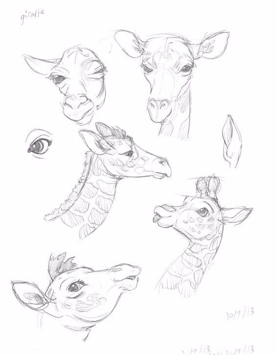 简笔画人物教程大全零基础成人,1000个适合零基础的简笔画教程