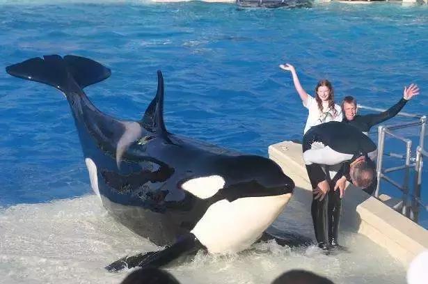 海洋馆的海洋动物表演,小孩子看的海洋动物视频