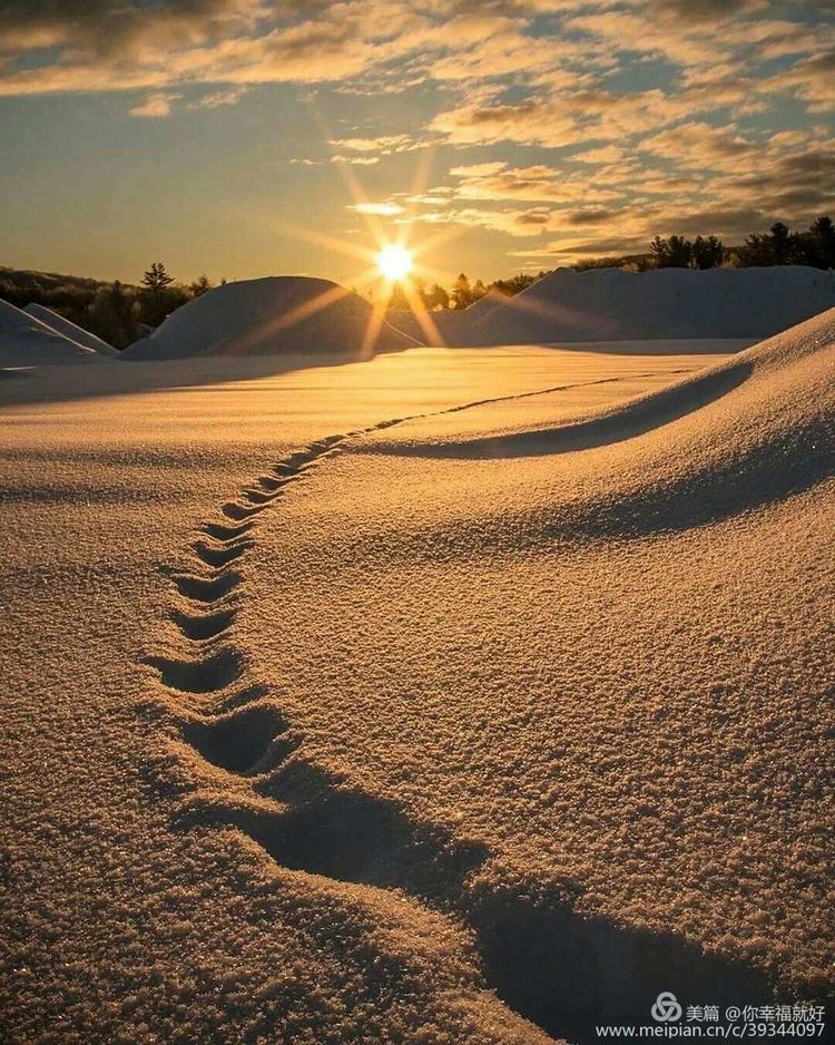 鐗╂崲鏄熺Щ閲夎壊涔嬪厜,鐗╂崲鏄熺Щ鍏ㄩ儴浣滃搧