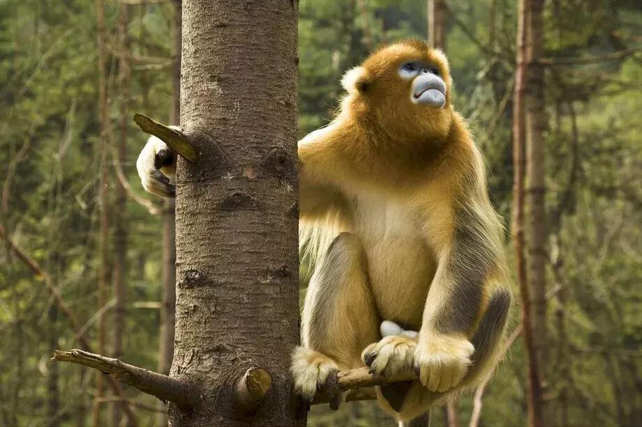 11月适合去旅行的著名风景推荐,10月11月适合旅游的地方