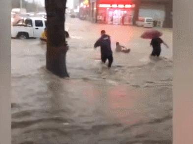 惊心动图+惨痛案例！物业人需提醒业主汛期防灾避险知识多重要？