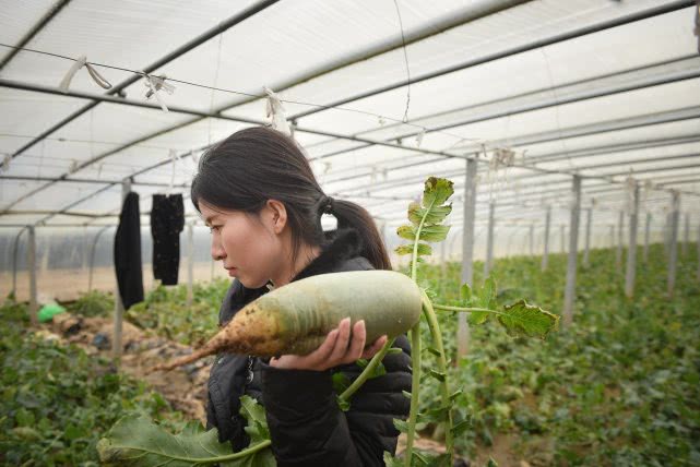 安徽90后萝卜西施,90后豆腐西施月入过万