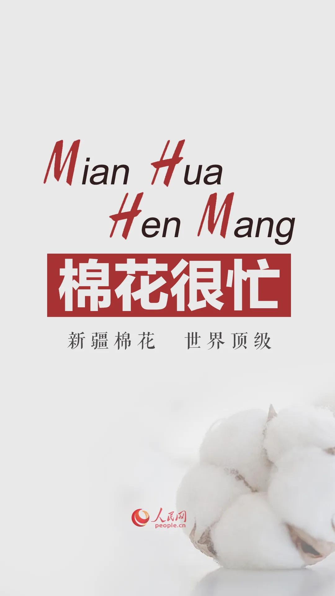 耐克阿迪达斯对比优衣库 (耐克阿迪优衣库哪款好)