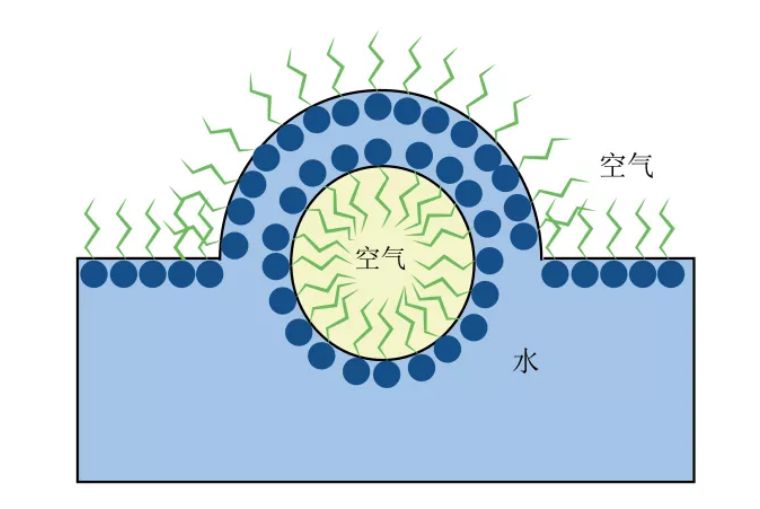 代购高档洗发水,代购洗发水能买吗