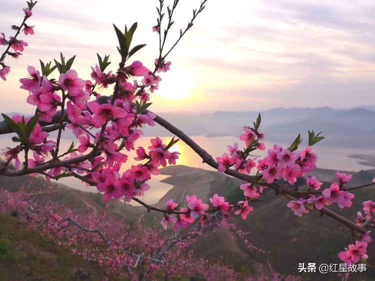 话说当年‘春节’走油
