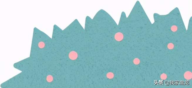 盘龙中学本科率,昆明盘龙高中排名一览表最新