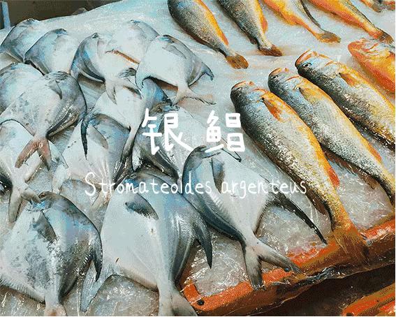 象山十大海鲜图片,象山市十大海鲜