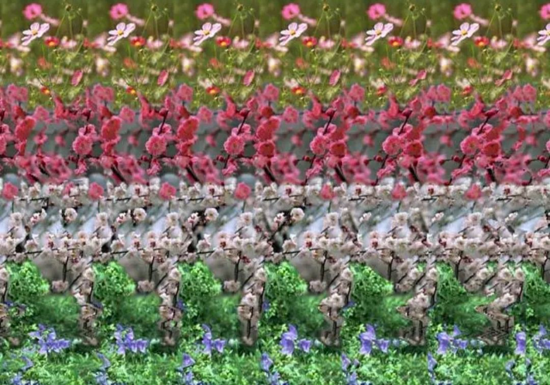 好看又好画的立体东西,超惊艳的立体画