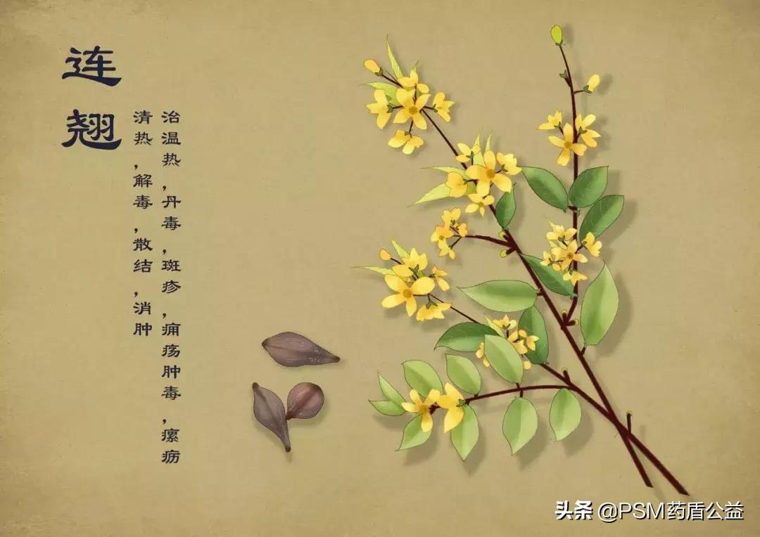 春暖花开手绘视频,春暖花开中药贴画