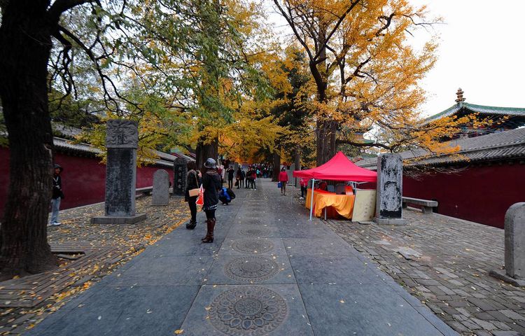 少林寺僧人都吃什么,少林寺僧人吃饭100多道菜
