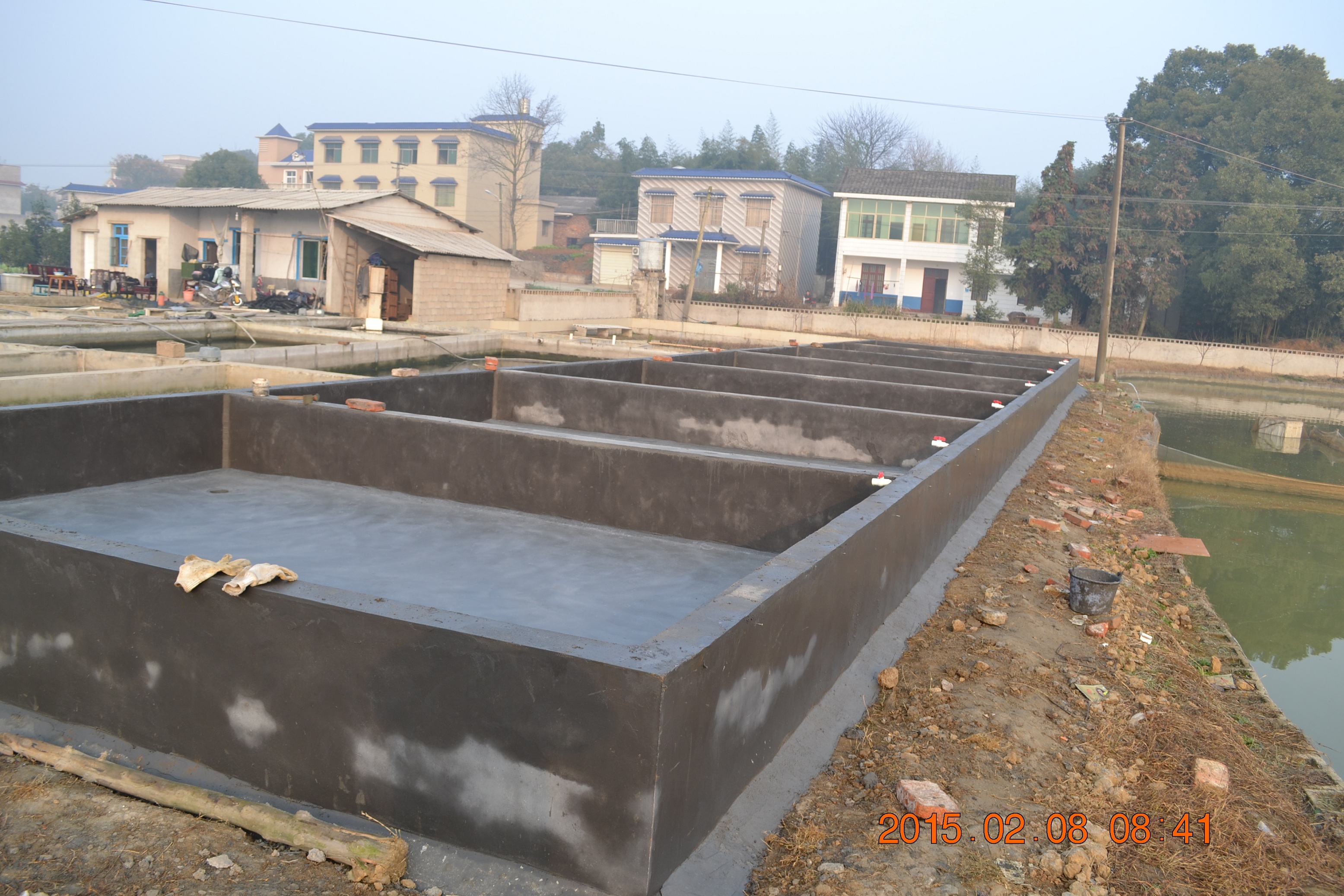 湖南最好的锦鲤养殖基地,湘潭锦鲤养殖