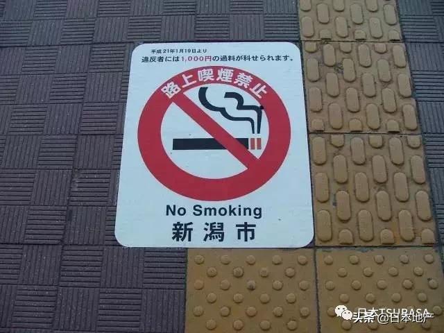 自由行一个月的建议 (五月份自由行热门攻略)