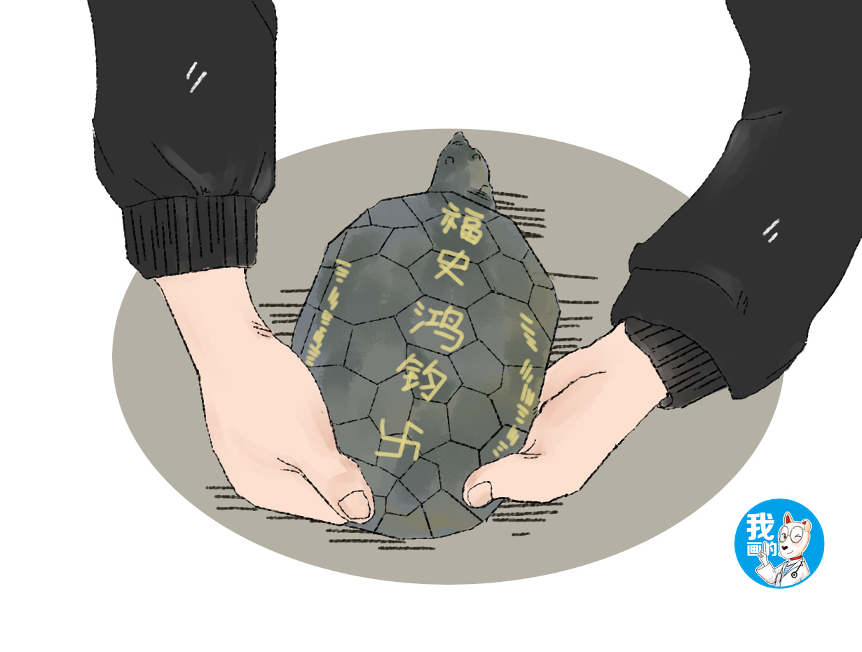 小伙在河边钓上来一只乌龟,老农偶然钓出一只乌龟