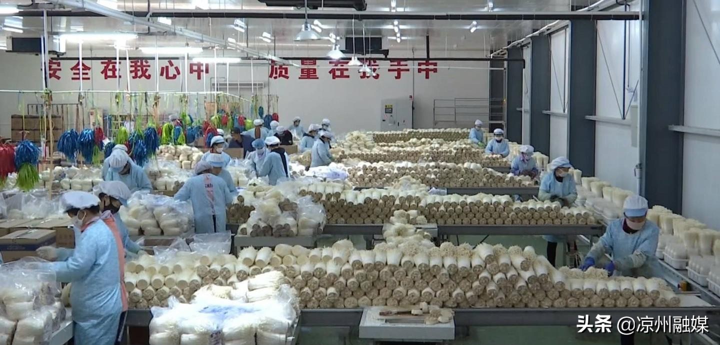 汇聚磅礴力量彰显使命担当——奋力开创凉州经济社会高质量发展新局面