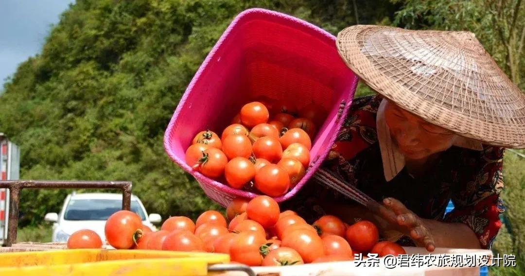 最新农业扶持创业项目推荐,2021农业扶持项目家庭农场合作社