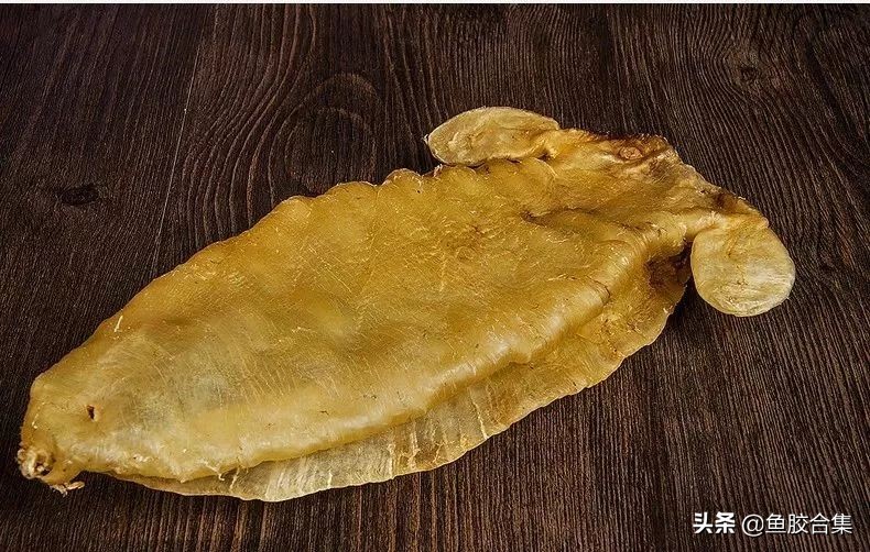 赤嘴鮸鱼鱼胶,赤嘴鳘鱼胶是什么