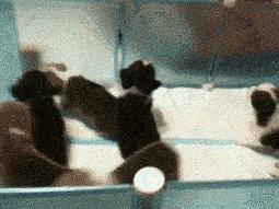 大学室友如何友好,大学室友怎么增进感情