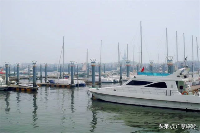 日照杜鹃花博览园平时免费开放吗,日照旅游景点哪里不要钱