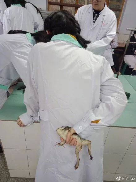 西安四大医学院,西安医学院第三临床医学院